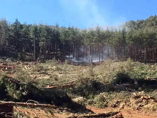 Bucak'ta Orman Yangını Kontrol Altına Alındı