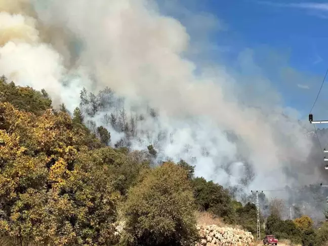 Antalya Kumluca'da Orman Yangını Çıktı