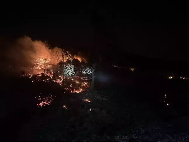 Hatay'da Orman Yangını: 5 Hektar Zarar Gördü