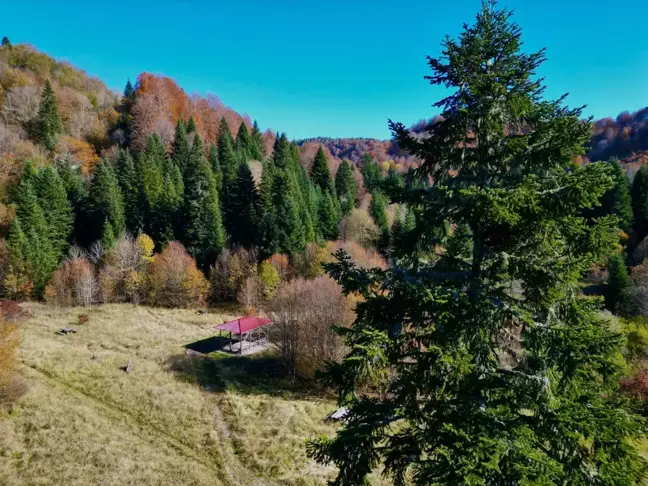 Küre Dağları Milli Parkı Sonbaharın Güzelliklerini Sunuyor