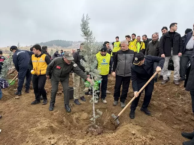 Gaziantep ve çevre illerde fidanlar toprakla buluşturuldu