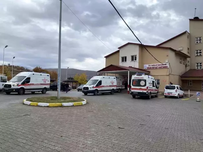 Bitlis'te Kamyonet Şarampole Yuvarlandı: 5 Yaralı