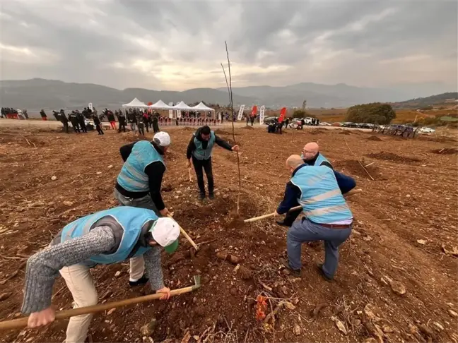 Bilecik'te Mahkumlar Fidan Dikimi Yapıldı