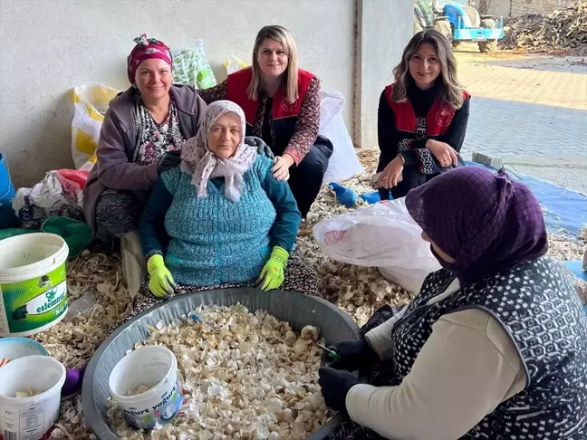 Başkan Bulut, Ordulular Derneği Başkanı Cıbır'ı Ağırladı