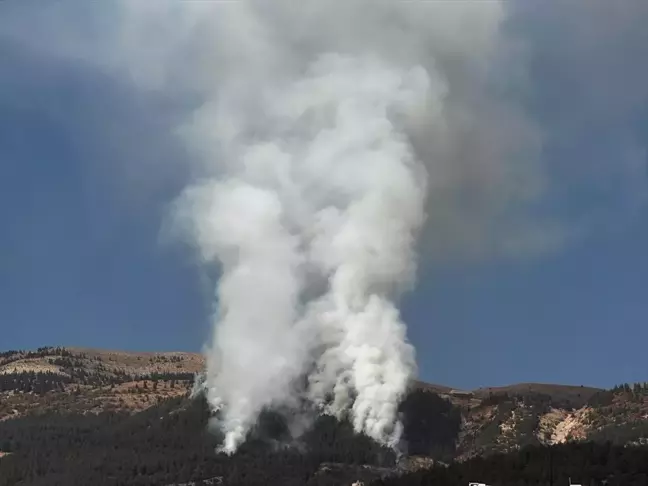 Kahramanmaraş'ta Orman Yangınına Müdahale Ediliyor