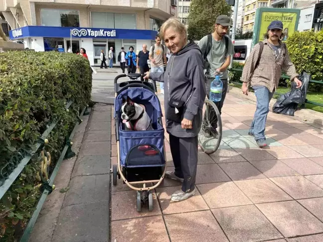 Eskişehir'de Bambi ile Dolaşmanın Keyfi