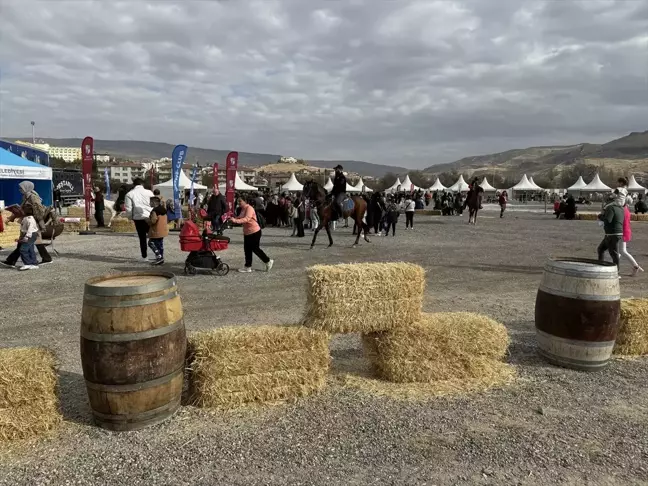 Ürgüp'te İlk Kez 'At Festivali' Düzenlendi