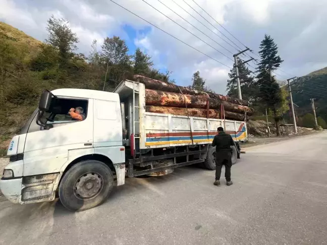 Bolu'da Orman Kaçakçılığı Denetimlerinde 5 Araç İşleme Alındı