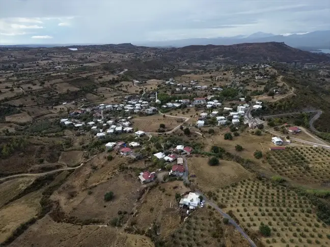 Manavgat'taki Orman Yangını Sonrası Doğa Yeniden Canlanıyor