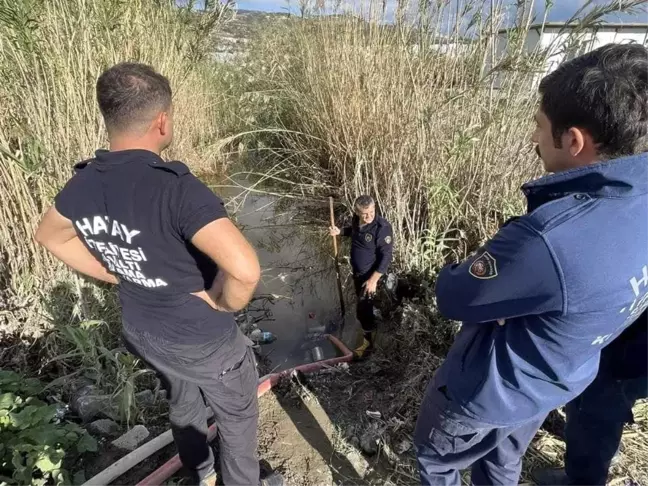 Samandağ'da Mahsur Kalan Yavru Köpekler İtfaiye Tarafından Kurtarıldı