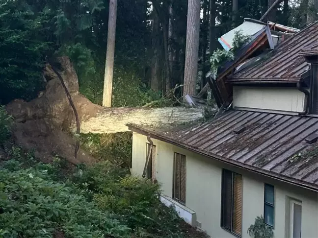 Bomba Siklonu ABD'nin Kuzeybatısında Can Kayıplarına Neden Oldu