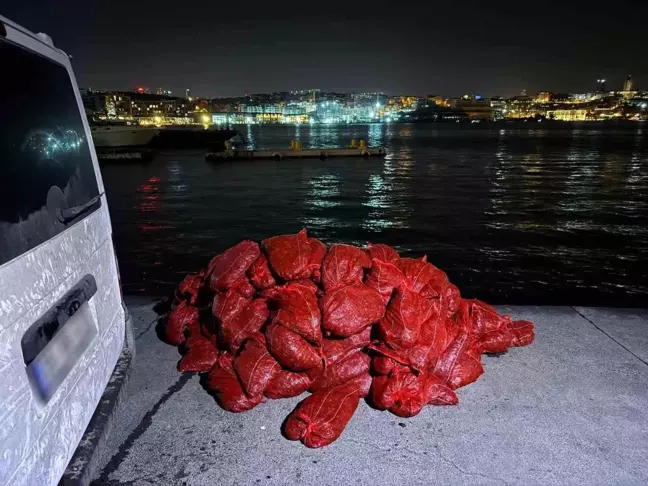 Karaköy'de 3 Ton Kaçak Midye Ele Geçirildi