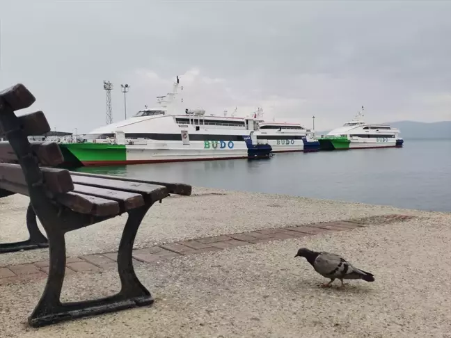 Bursa-İstanbul Deniz Otobüsü Seferleri Olumsuz Hava Koşulları Nedeniyle İptal Edildi