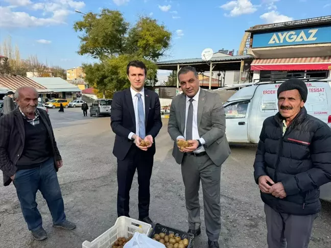 Sivas'ın Akıncılar İlçesinde İlk Kivi Hasadı Yapıldı