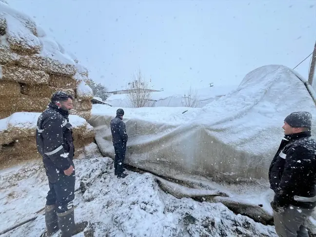 Çankırı'da Kar Yağışı Nedeniyle Büyükbaş Hayvan Çadırı Çöktü