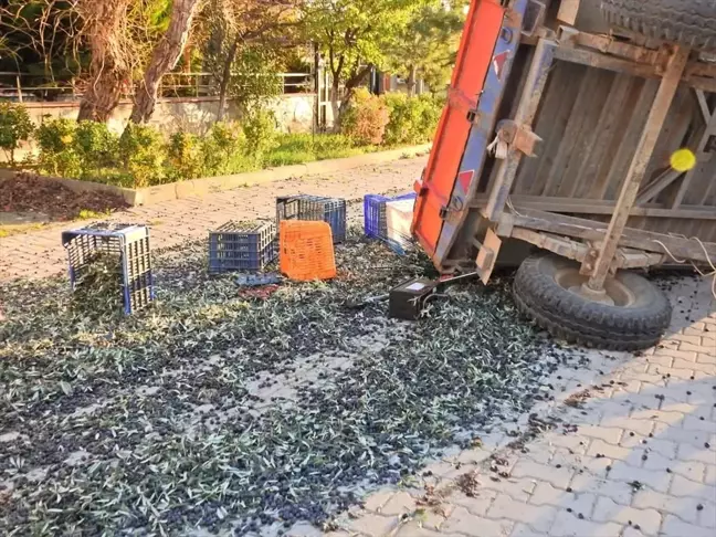 Erdek'te Zeytin İşçilerini Taşıyan Traktör Römorku Devrildi: 5 Yaralı