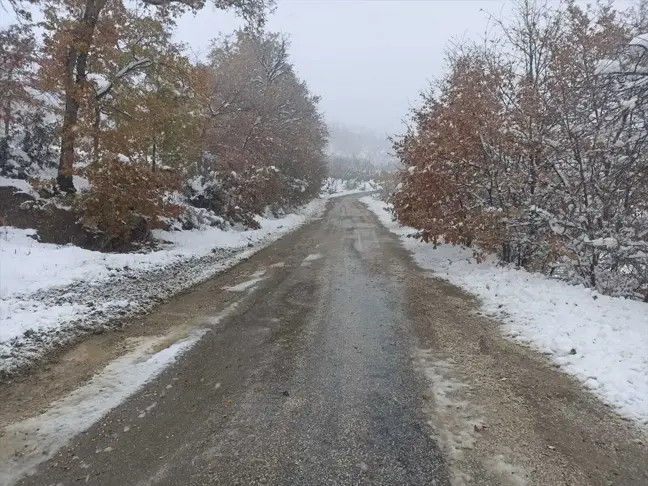 Bilecik'in Yüksek Kesimlerinde Kar Yağışı Etkili Oldu