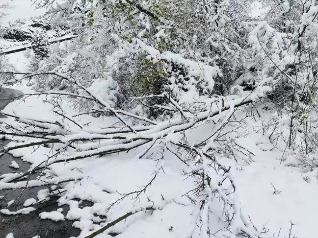 Kastamonu İhsangazi'de Kar Yağışı Hayatı Etkiledi