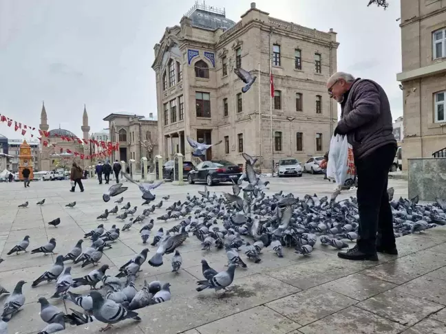 Emekli Öğretmenden Kuşlara İyilik