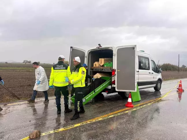 Muğla'da Şüpheli Ölüm: Erkek Cesedi Bulundu