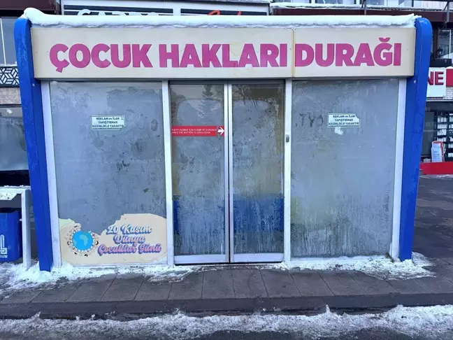 Doğu Anadolu'da Dondurucu Soğuklar Etkili