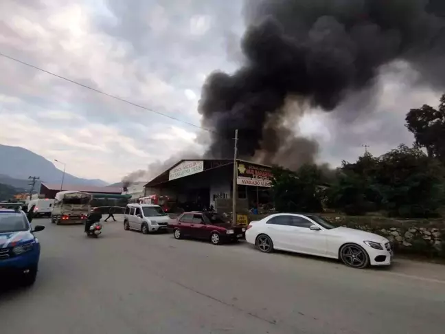 Alanya'da Mobilya Deposunda Yangın: 3 İş Yeri ve Muz Serası Zarar Gördü