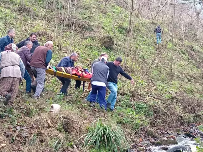 Trabzon'da Otomobil Dereye Uçtu: 2 Yaralı