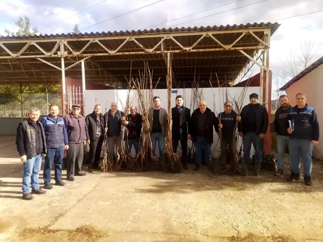 Bilecik'te Meyve Fidanı Dağıtıldı