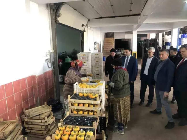 Bilecik'te Tarım Ürünleri Soğuk Hava Depolarında Paketleniyor