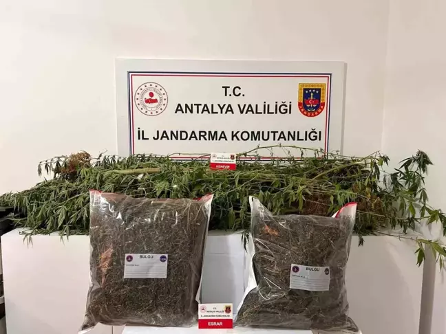 Alanya'da Narkotik Operasyonları: 188 Kişi Yakalandı, 33 Kilo Uyuşturucu Ele Geçirildi