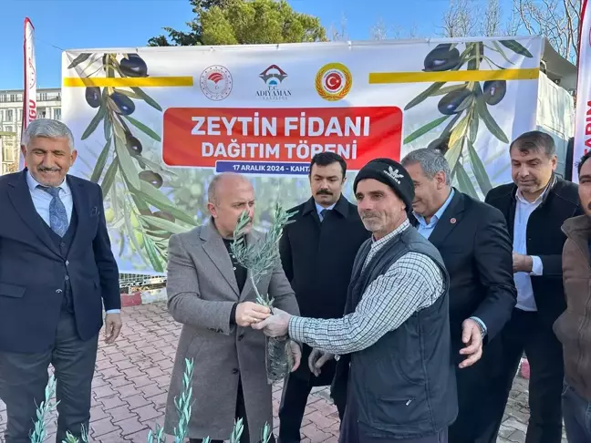 Adıyaman'da 62 Bin Zeytin Fidanı Dağıtıldı