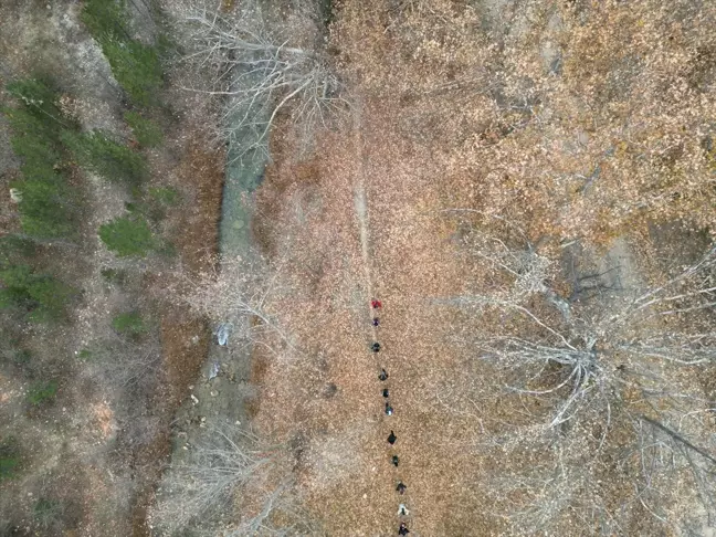 Cödden Vadisi, Doğa Tutkunlarını Ağırlıyor