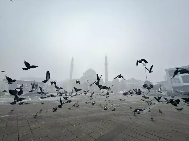 Bolu ve Düzce'de Yoğun Sis Etkili Oluyor