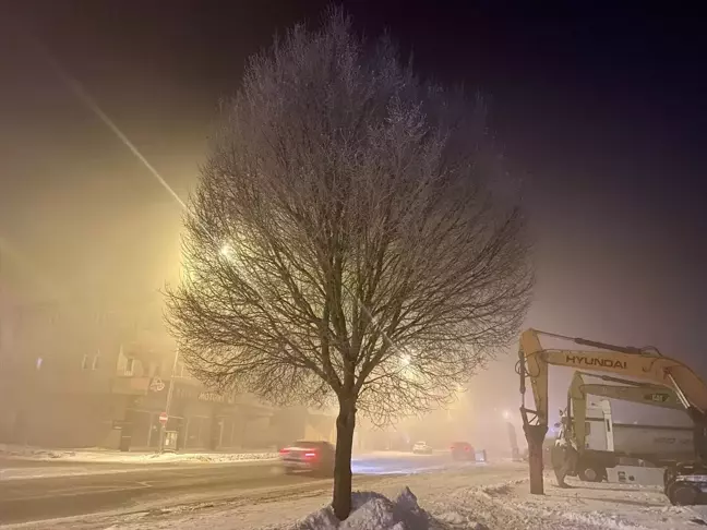 Ardahan'da Yoğun Sis Etkili Oluyor