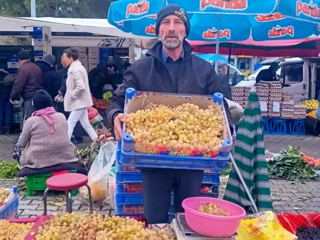 Sarıgöl Üzüm Üreticisi Yılbaşı Sofraları İçin Taze Üzümler Satıyor