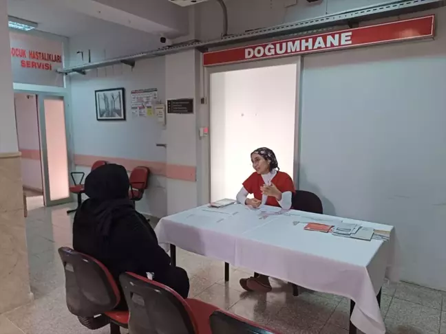 Mersin'de Normal Doğum Eylem Planı Farkındalık Etkinliği Düzenlendi