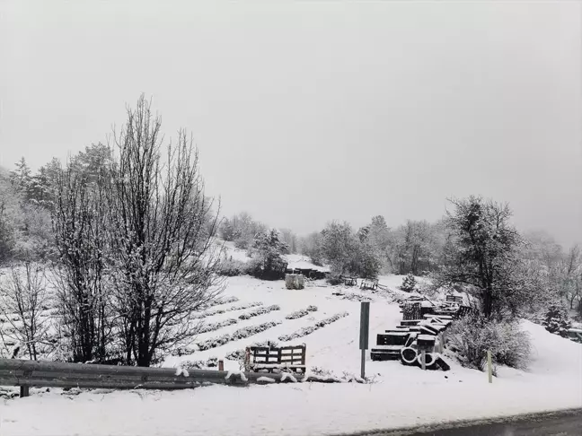 Kastamonu'da Kar Yağışı Etkili Oldu