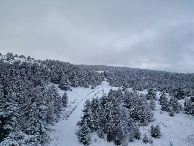 Yapraklı'nın Kar Manzarası Dronla Görüntülendi