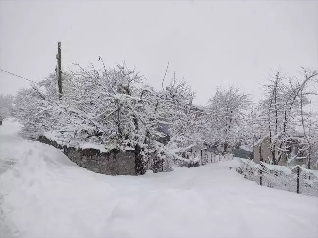 Elazığ ve Bingöl'de Kar Yağışı Ulaşımı Olumsuz Etkiledi