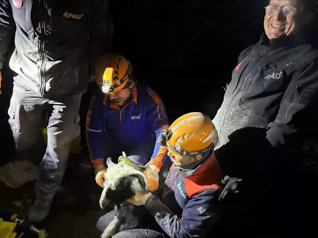 Torbalı'da Mahsur Kalan Keçi AFAD Tarafından Kurtarıldı