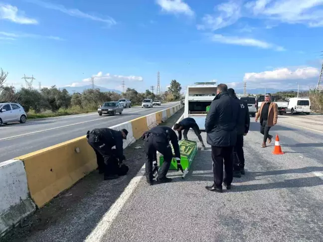 Aydın'da Yol Çetmesi Kazası: 54 Yaşındaki Kadın Hayatını Kaybetti