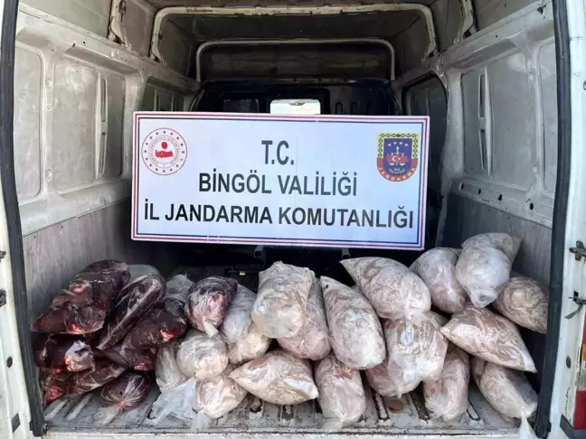 Bingöl'de Jandarma Gıda Denetiminde 200 Kilogram Karnıyarık Ele Geçirildi