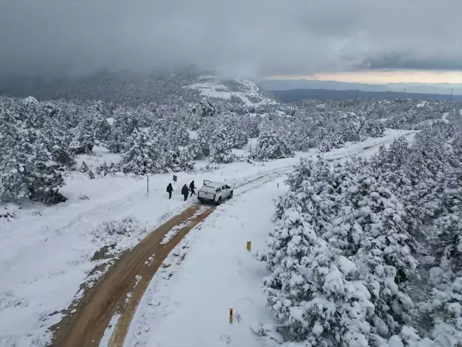 Muğla'da Yaban Hayvanları İçin Doğaya Yem Bırakıldı