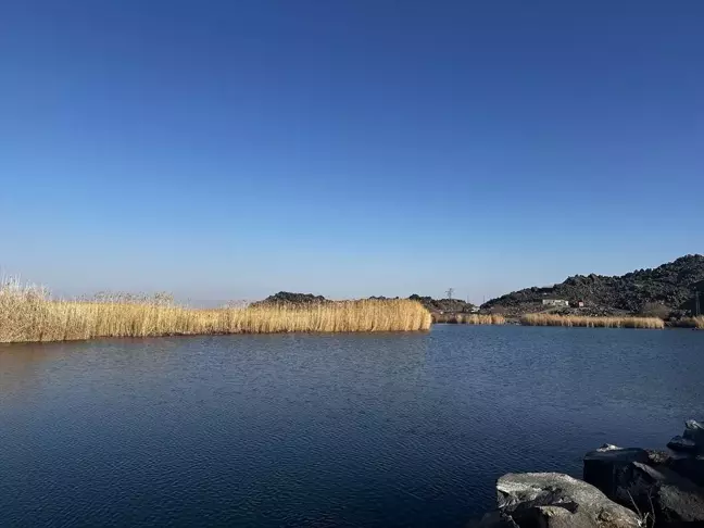 Karasu Sulak Alanı: Kuşların Kış Evi