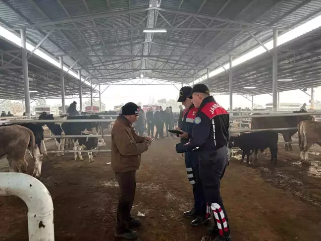 Aydın'da Hayvan Pazarında Dolandırıcılık ve Hırsızlık Denetimi