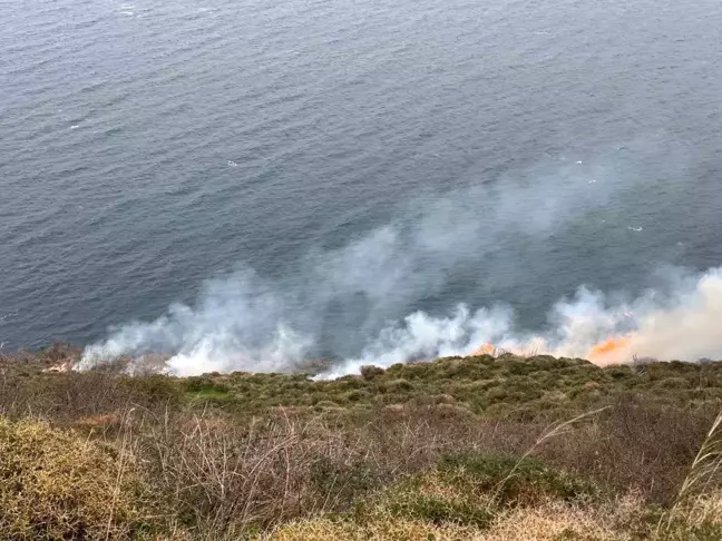 Sinop'ta örtü yangını: 20 dönüm alan zarar gördü