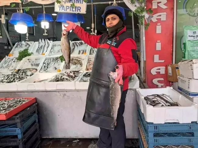 Kilis'in Tek Kadın Balıkçısı: Hülya Döner