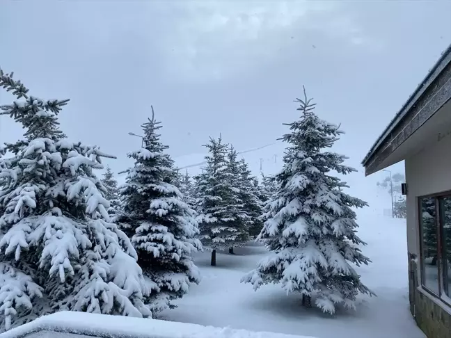 Samsun'dan kısa kısa