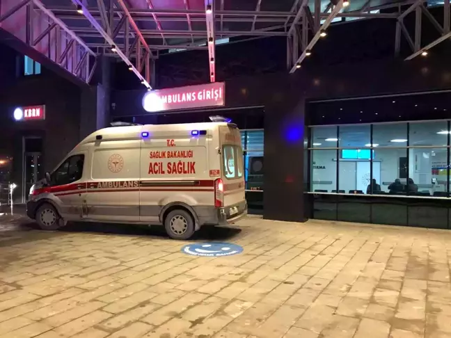 Bilecik'te Trafik Kazası: 2 Yaralı