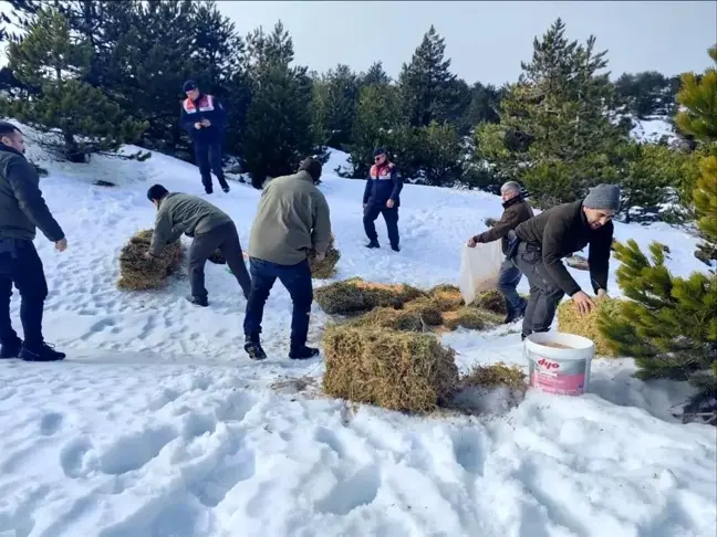 Balıkesir'de Yaban Hayvanlarına Kış Öncesi Yemleme Yapıldı